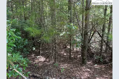 Lot 163 Staghorn Road, Purlear, NC 28665 - Photo 11
