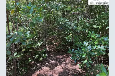 Lot 163 Staghorn Road, Purlear, NC 28665 - Photo 7
