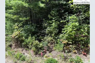 Lot 163 Staghorn Road, Purlear, NC 28665 - Photo 11