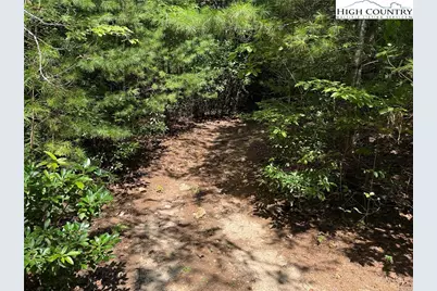 Lot 163 Staghorn Road, Purlear, NC 28665 - Photo 7