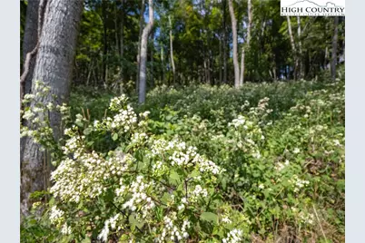 Lot 25 Poplar Forest Drive, Boone, NC 28607 - Photo 25