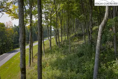 Lot 25 Poplar Forest Drive, Boone, NC 28607 - Photo 21