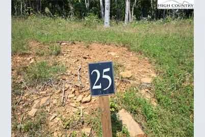 Lot 25 Poplar Forest Drive, Boone, NC 28607 - Photo 7