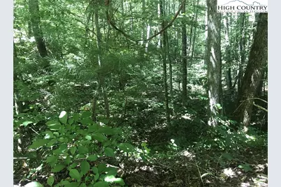 Tbd Lot 28 Sonterra Drive, Lansing, NC 28643 - Photo 7