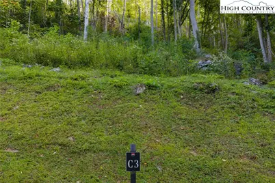 Lot C3 Bear Paw Road, Elk Park, NC 28622 - Photo 7
