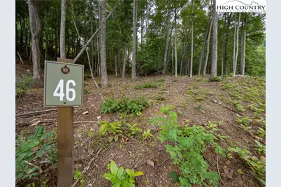 Lot 46 Wildcat Wilderness Parkway, Deep Gap, NC 28618 - Photo 5