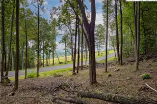 Lot 46 Wildcat Wilderness Pkwy, Deep Gap, NC 28618 - Photo 1