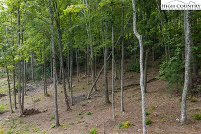 Lot 46 Wildcat Wilderness Parkway, Deep Gap, NC 28618 - Photo 13