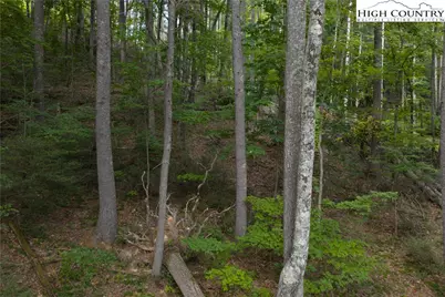 Lot 46 Wildcat Wilderness Parkway, Deep Gap, NC 28618 - Photo 17
