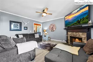 301 Pinnacle Inn Rd, Beech Mountain, NC 28604 - Photo 3