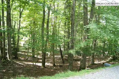 109 Lower Grouse Ridge Road, Beech Mountain, NC 28604 - Photo 3