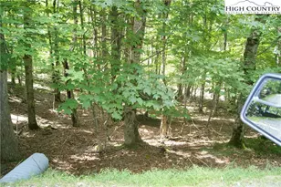 109 Lower Grouse Ridge Rd, Beech Mountain, NC 28604 - Photo 1