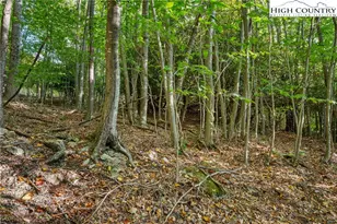 127 Mill Pond Ln, Banner Elk, NC 28604 - Photo 43