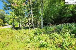 297 Old Turnpike NW Rd, Banner Elk, NC 28604 - Photo 35