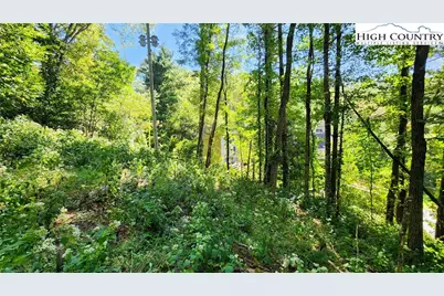 297 Old Turnpike NW Road, Banner Elk, NC 28604 - Photo 37