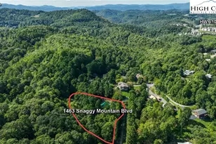1463 Snaggy Mountain Blvd, Boone, NC 28607 - Photo 7
