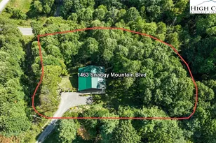 1463 Snaggy Mountain Blvd, Boone, NC 28607 - Photo 49