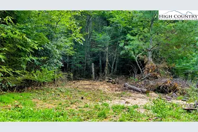 Tbd US Hwy 221 S, Fleetwood, NC 28626 - Photo 13