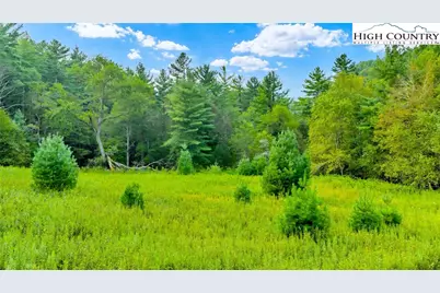 Tbd US Hwy 221 S, Fleetwood, NC 28626 - Photo 17
