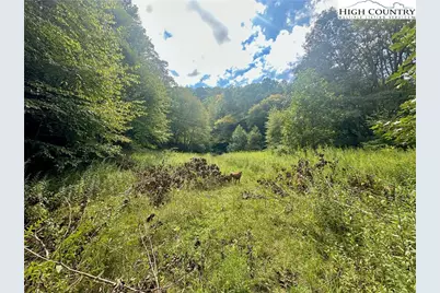 Tbd Old Anderson Quarry Road, Vilas, NC 28692 - Photo 9