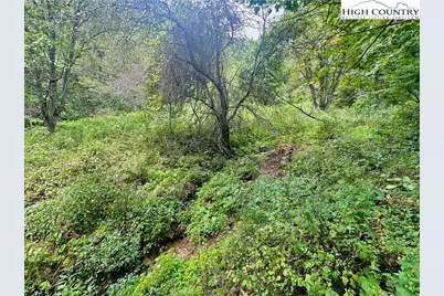 Tbd Old Anderson Quarry Road, Vilas, NC 28692 - Photo 11