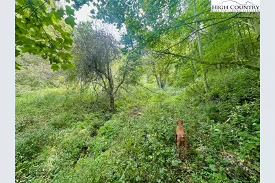 Tbd Old Anderson Quarry Road, Vilas, NC 28692 - Photo 15