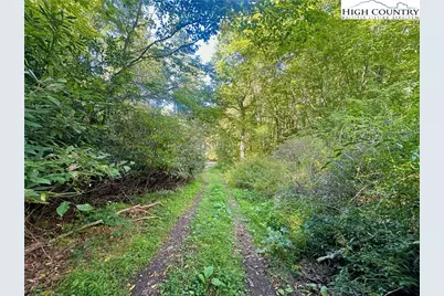 Tbd Old Anderson Quarry Road, Vilas, NC 28692 - Photo 21