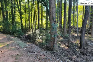 Lot 120 118 Friar Ct, North Wilkesboro, NC 28659 - Photo 1