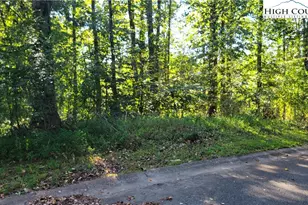 Lot 121 120 Friar Ct, North Wilkesboro, NC 28659 - Photo 1