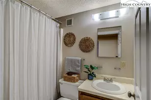 303 Sugar Top Dr, Sugar Mountain, NC 28604 - Photo 13