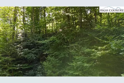 Lot 219 Ontario Drive, Boone, NC 28607 - Photo 9