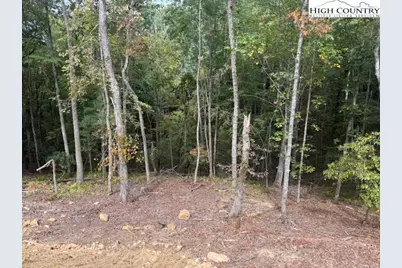 Tbd Peck Peak Road, Jefferson, NC 28640 - Photo 19