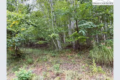 Lot #2A Falls Creek Parkway, Elk Park, NC 28622 - Photo 3