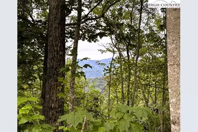 Lot #2A Falls Creek Parkway, Elk Park, NC 28622 - Photo 5