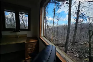 109 Foxgrape Hollow, Beech Mountain, NC 28604 - Photo 21