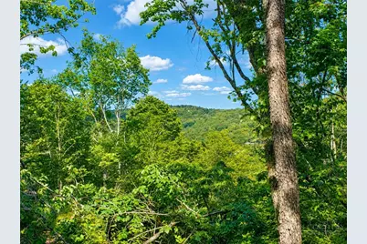 109 Foxgrape Hollow, Beech Mountain, NC 28604 - Photo 5