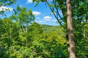 109 Foxgrape Hollow, Beech Mountain, NC 28604 - Photo 5