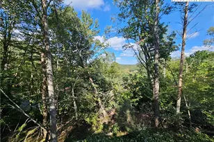 109 Foxgrape Hollow, Beech Mountain, NC 28604 - Photo 33