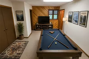109 Foxgrape Hollow, Beech Mountain, NC 28604 - Photo 11