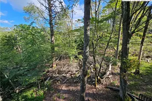 109 Foxgrape Hollow, Beech Mountain, NC 28604 - Photo 43