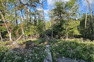 109 Foxgrape Hollow, Beech Mountain, NC 28604 - Photo 45