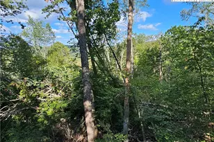 109 Foxgrape Hollow, Beech Mountain, NC 28604 - Photo 41