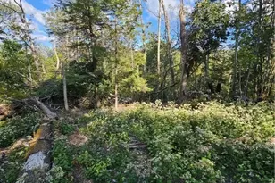 109 Foxgrape Hollow, Beech Mountain, NC 28604 - Photo 39