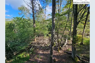 109 Foxgrape Hollow, Beech Mountain, NC 28604 - Photo 37