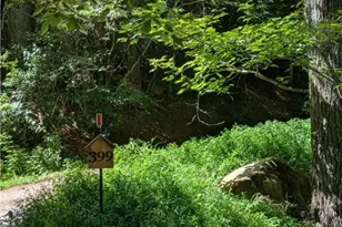 399 Ravens Ridge Cir, Boone, NC 28607 - Photo 39