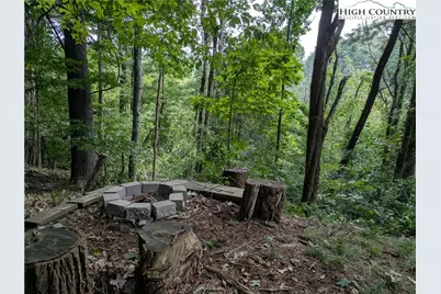 399 Ravens Ridge Circle, Boone, NC 28607 - Photo 37