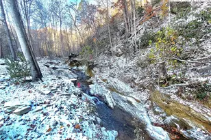 812 Jake's Mountain Rd, Deep Gap, NC 28618 - Photo 47