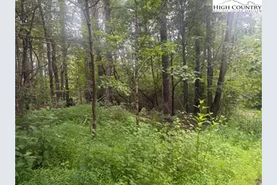 Tbd Beaver Creek Drive, West Jefferson, NC 28694 - Photo 1