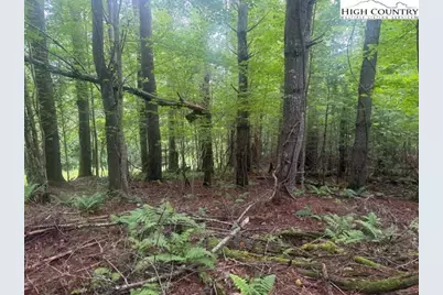 Tbd Beaver Creek Drive, West Jefferson, NC 28694 - Photo 3