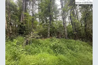 Tbd Beaver Creek Drive, West Jefferson, NC 28694 - Photo 5